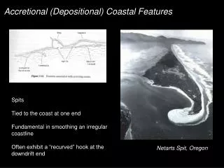 Accretional (Depositional) Coastal Features