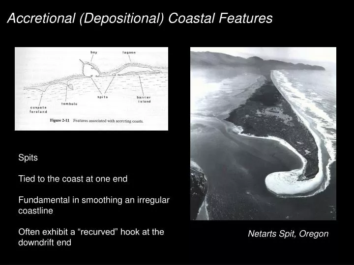 accretional depositional coastal features