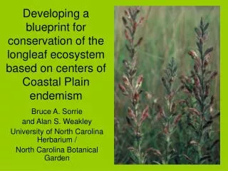 Bruce A. Sorrie and Alan S. Weakley University of North Carolina Herbarium /