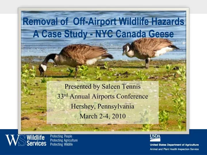 removal of off airport wildlife hazards a case study nyc canada geese