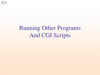 Running Other Programs And CGI Scripts