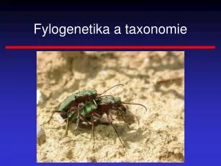 fylogenetika a taxonomie