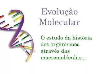 evolu o molecular