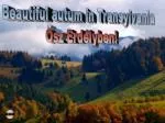 Experience the Beauty of Autumn in Transylvania - slide 1