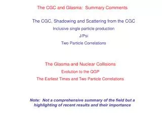 The CGC and Glasma: Summary Comments
