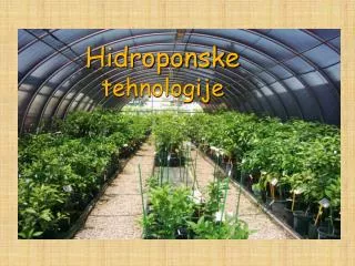hidroponske tehnologije