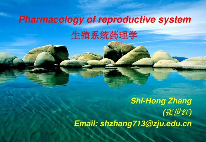 shi hong zhang email shzhang713@zju edu cn