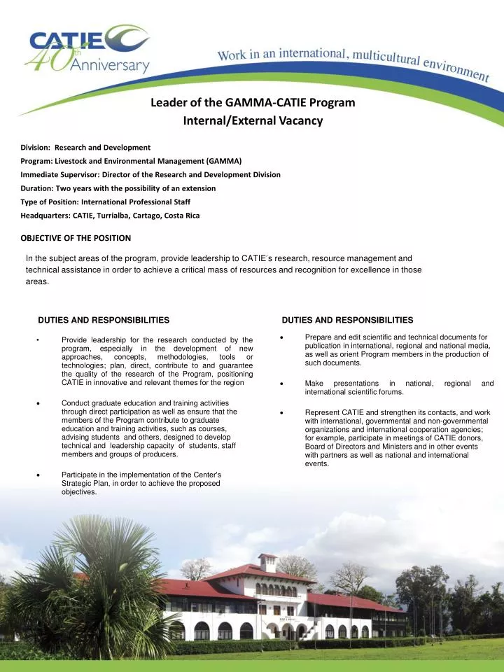 leader of the gamma catie program internal external vacancy