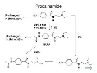 Procainamide