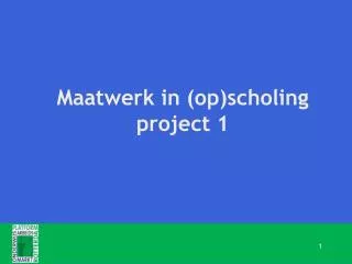 maatwerk in op scholing project 1