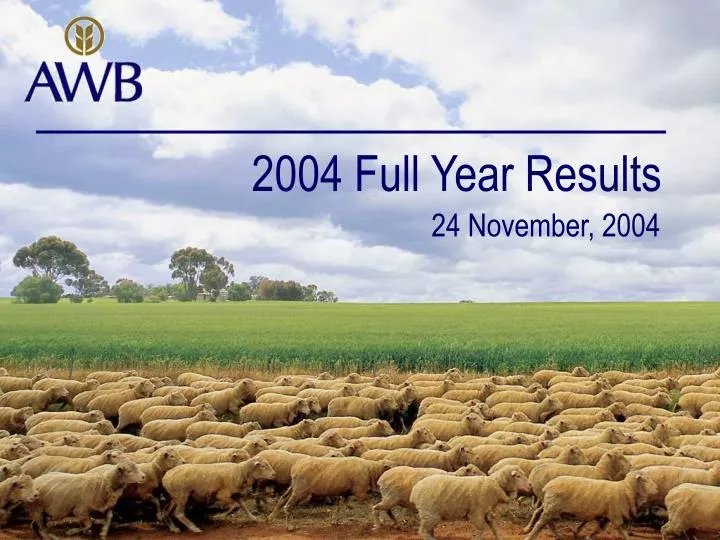 2004 full year results