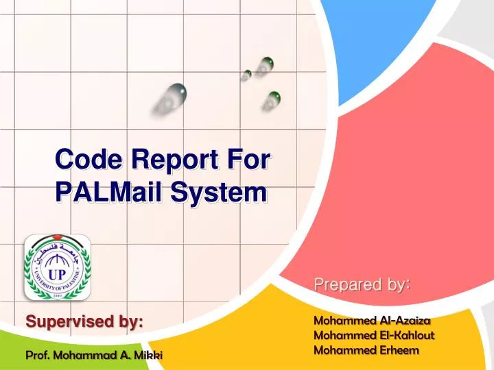 code report for palmail system