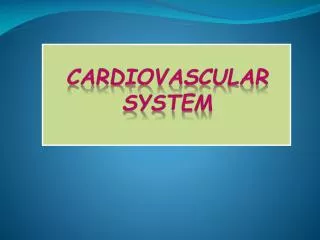 cardiovascular system