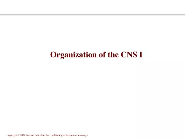 organization of the cns i