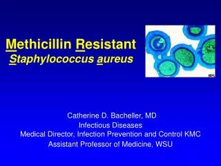 m ethicillin r esistant s taphylococcus a ureus