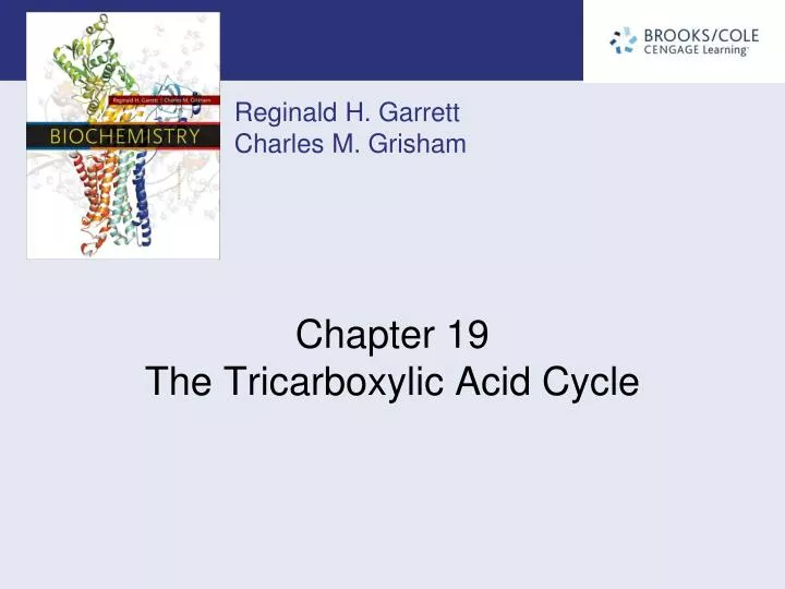 chapter 19 the tricarboxylic acid cycle