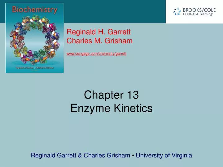 chapter 13 enzyme kinetics