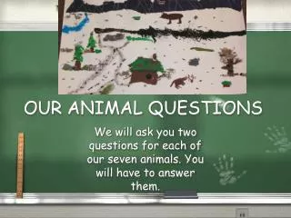 OUR ANIMAL QUESTIONS
