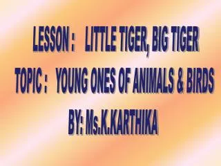 LESSON : LITTLE TIGER, BIG TIGER TOPIC : YOUNG ONES OF ANIMALS &amp; BIRDS BY: Ms.K.KARTHIKA