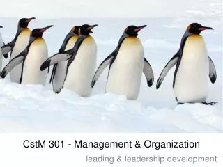 CstM 301 - Management &amp; Organization