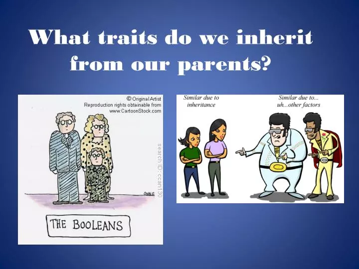 PPT What Traits Do We Inherit From Our Parents PowerPoint 