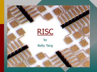 RISC by Betty Tang