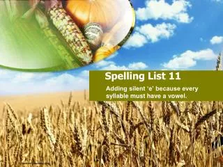 Spelling List 11