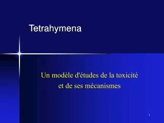 tetrahymena