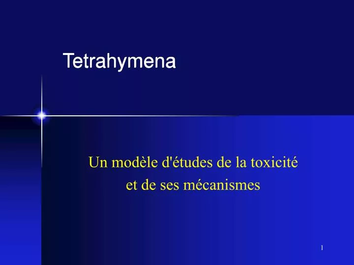 tetrahymena