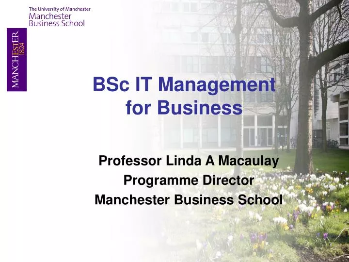 professor linda a macaulay programme director manchester business school