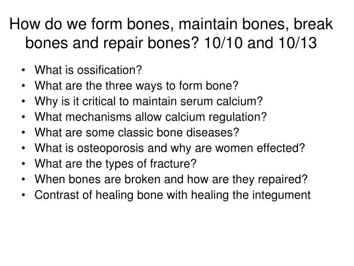 how do we form bones maintain bones break bones and repair bones 10 10 and 10 13
