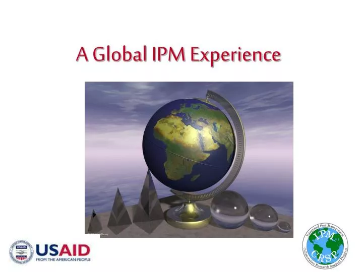 a global ipm experience