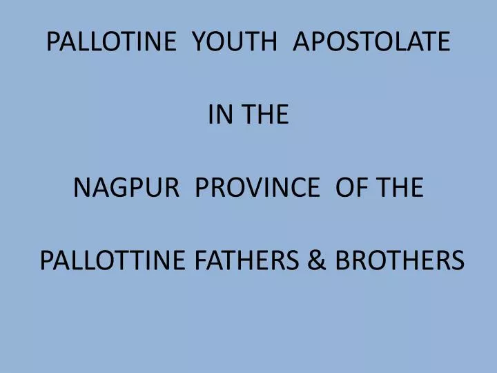 pallotine youth apostolate in the nagpur province of the pallottine fathers brothers