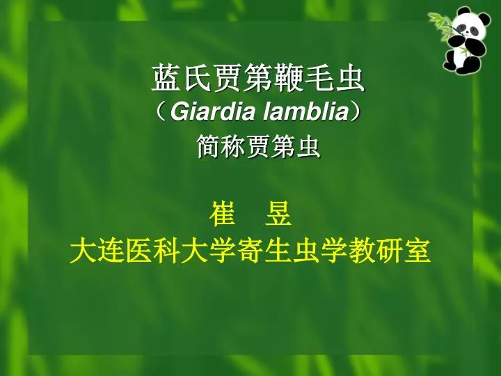 giardia lamblia