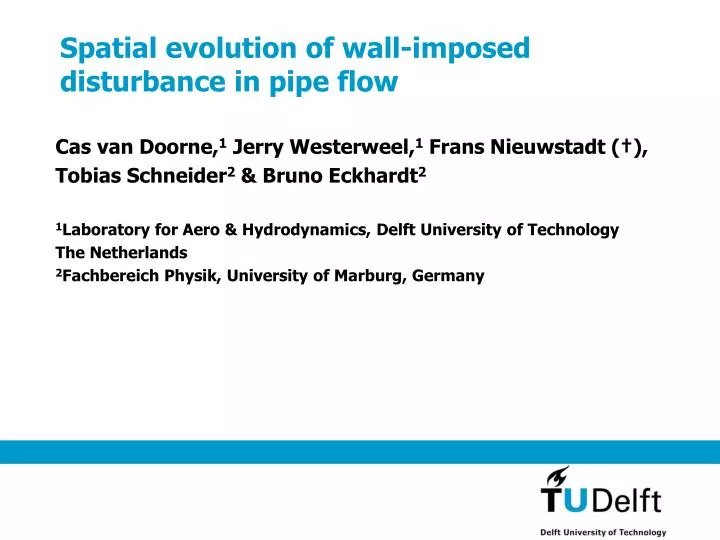 spatial evolution of wall imposed disturbance in pipe flow