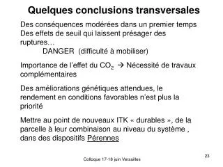 quelques conclusions transversales
