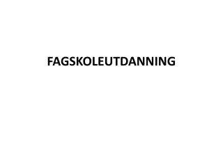 fagskoleutdanning
