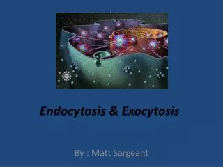 Endocytosis &amp; Exocytosis
