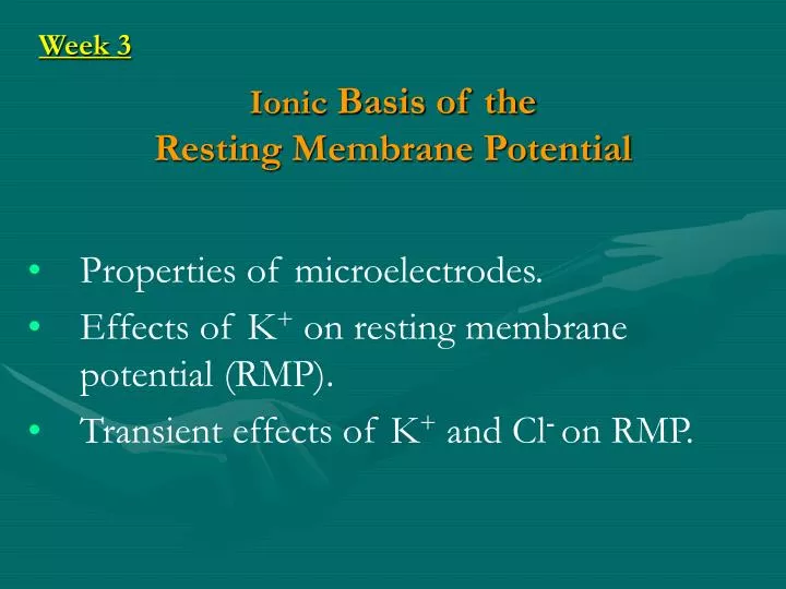 ionic basis of the resting membrane potential