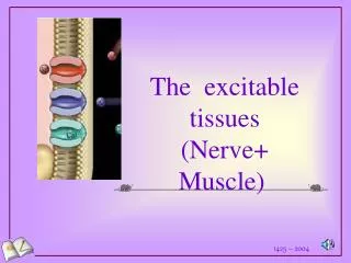 The excitable tissues (Nerve+ Muscle)