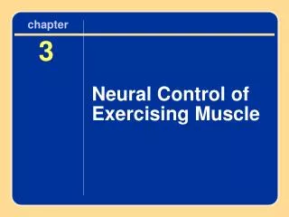 Neural Control of Exercising Muscle