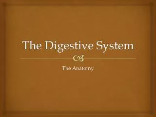 The Digestive System