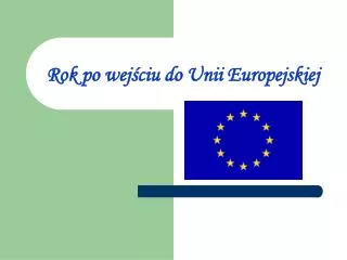 rok po wej ciu do unii europejskiej