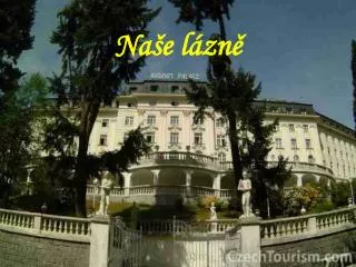 na e l zn