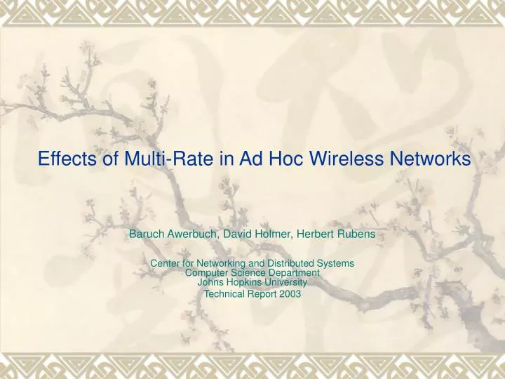 effects of multi rate in ad hoc wireless networks