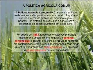 a pol tica agr cola comum