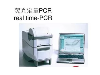pcr real time pcr