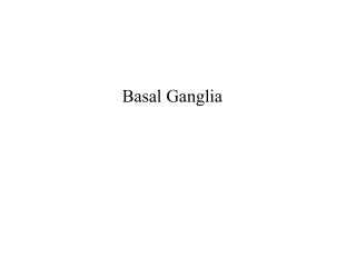 Basal Ganglia