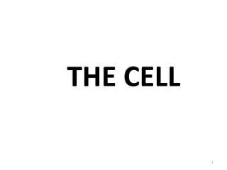 THE CELL