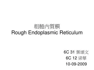 rough endoplasmic reticulum